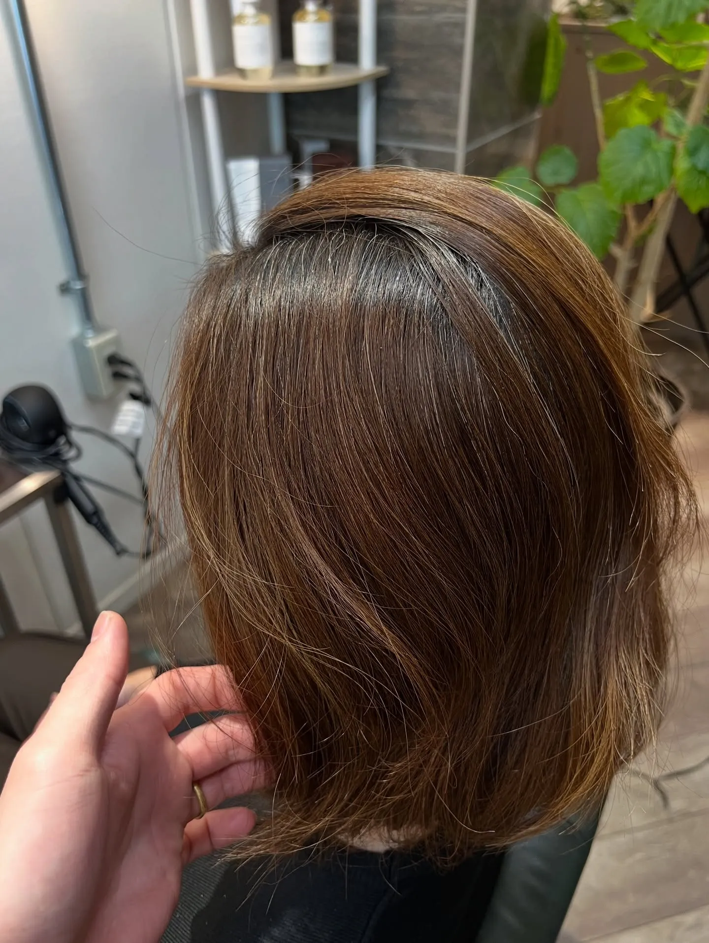 白髪が気になり始めたけれど、