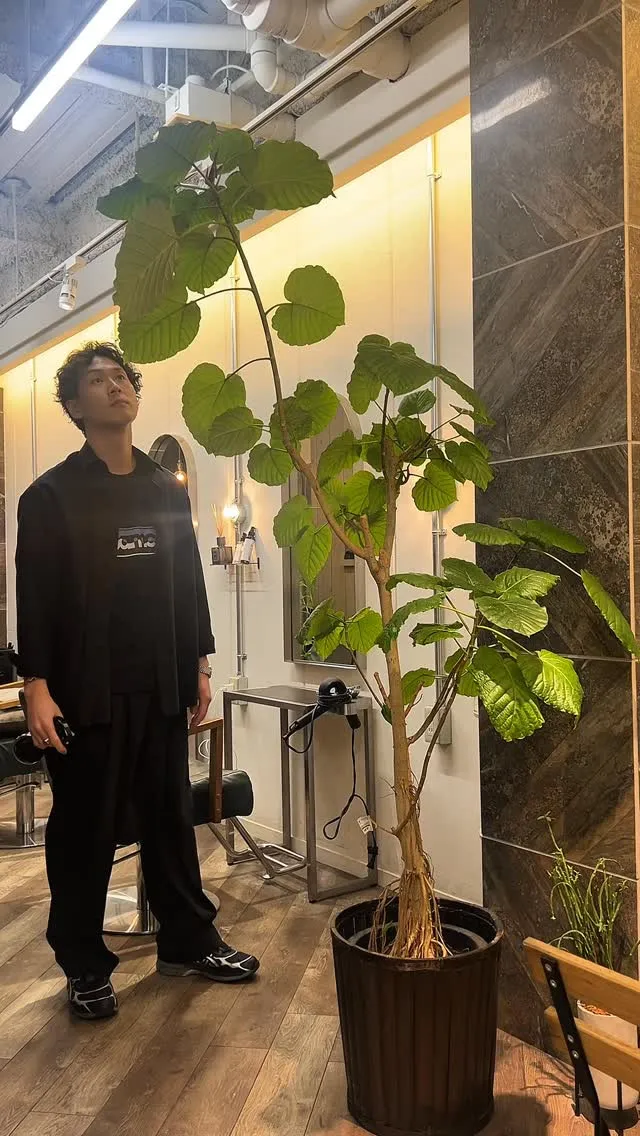 白髪を「隠す」から「活かす」へ。